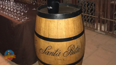 VINICOLA SANTA RITA 